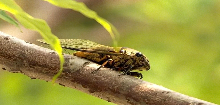 30条自我赋能励志箴言：唤醒内在潜能，成就更好的自己